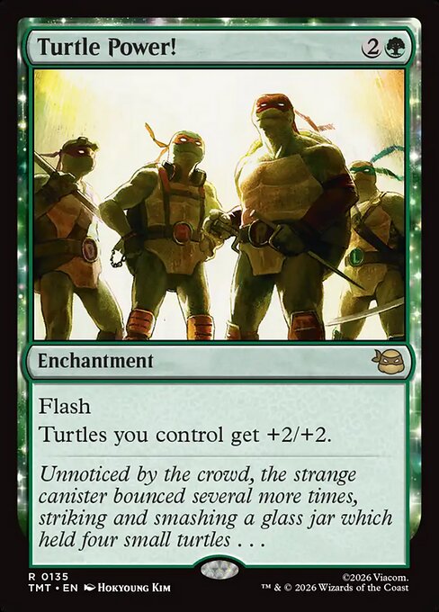 Turtle Power! — art by Hokyoung Kim