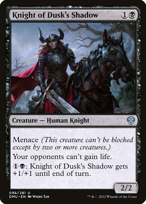Knight of Dusk's Shadow — art by Wisnu Tan