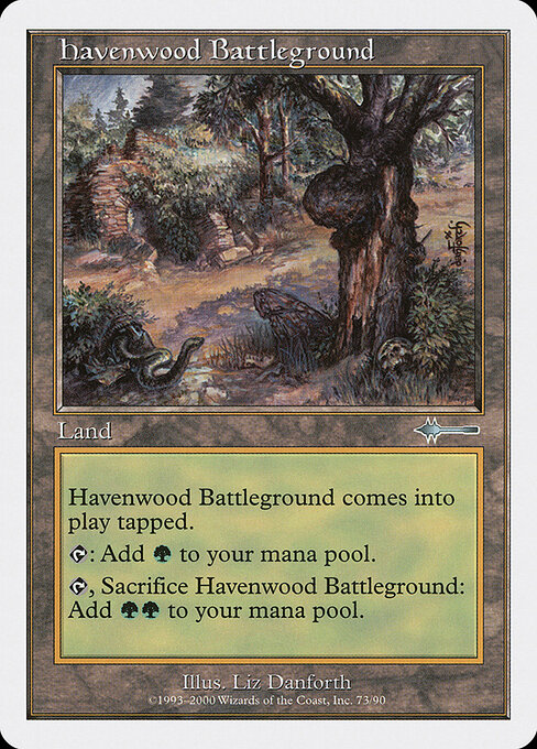 Havenwood Battleground — art by Liz Danforth