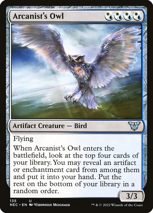 Arcanist's Owl — art by Véronique Meignaud
