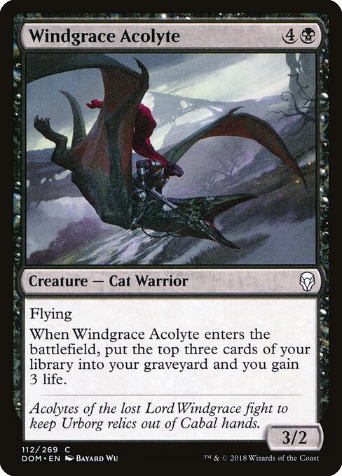 Windgrace Acolyte — art by Bayard Wu