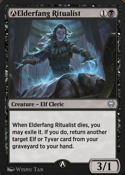 A-Elderfang Ritualist — art by Wisnu Tan