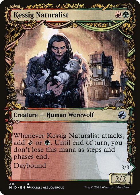 Kessig Naturalist // Lord of the Ulvenwald — art by Rafael Albuquerque