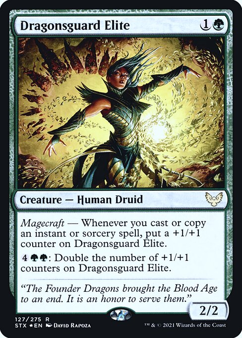 Dragonsguard Elite — art by David Rapoza