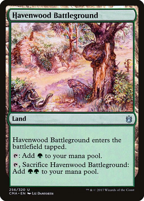 Havenwood Battleground — art by Liz Danforth
