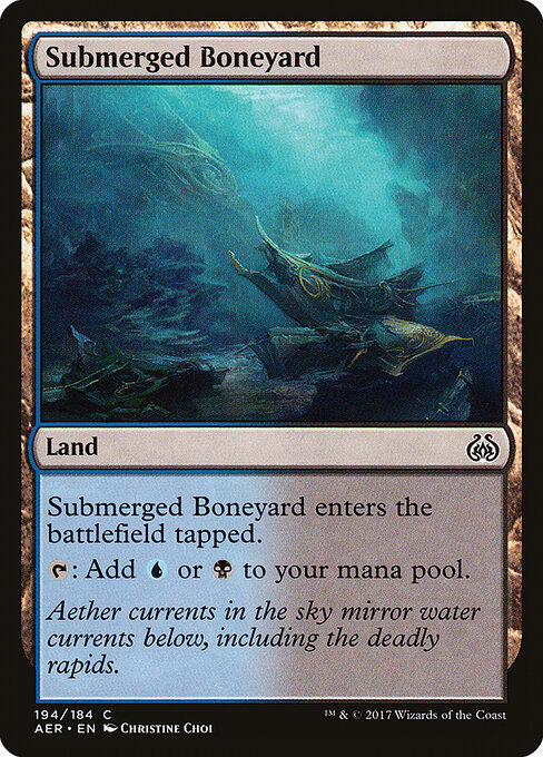 Submerged Boneyard — art by Christine Choi