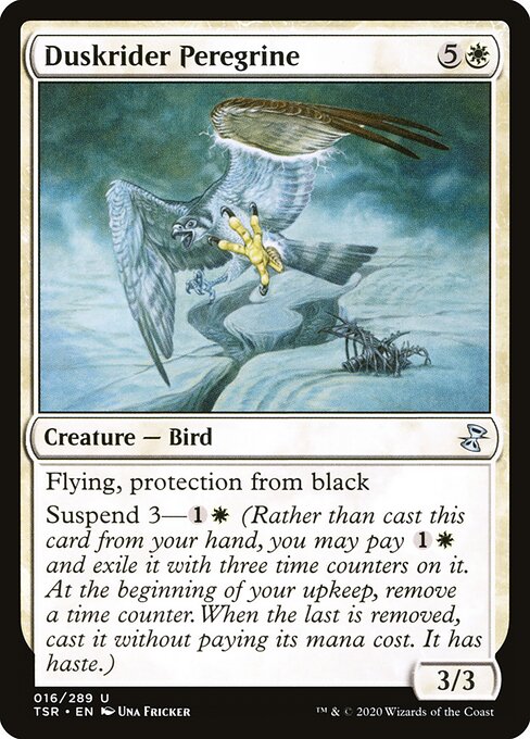 Duskrider Peregrine — art by Una Fricker