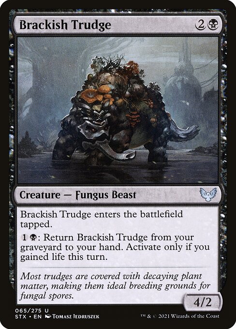 Brackish Trudge — art by Tomasz Jedruszek