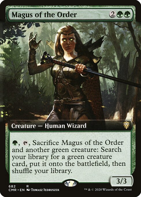 Magus of the Order — art by Tomasz Jedruszek