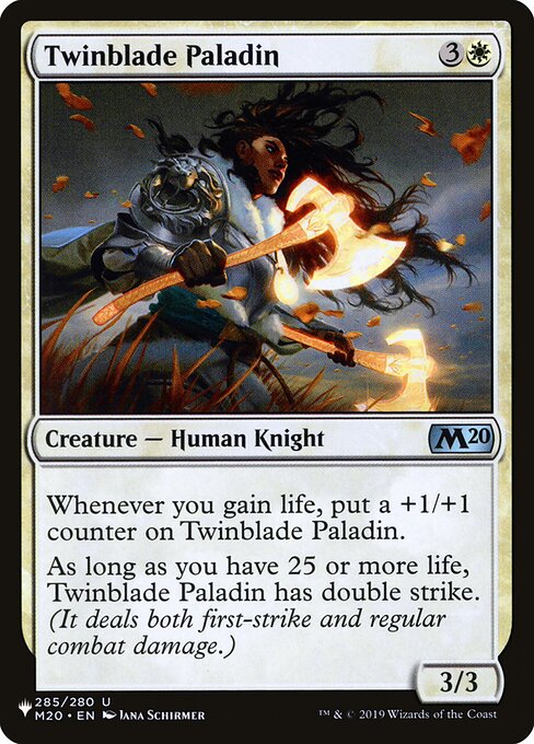 Twinblade Paladin — art by Jana Schirmer