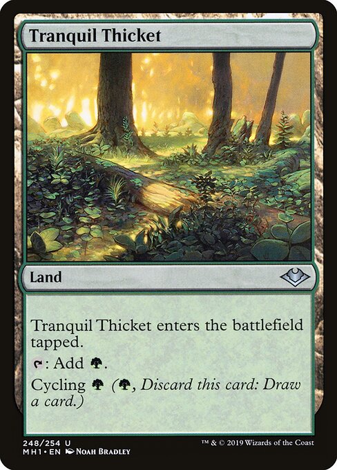 Tranquil Thicket — art by Noah Bradley