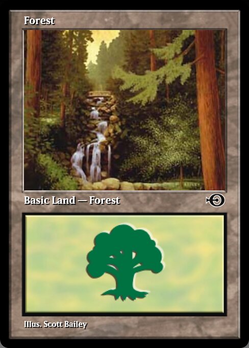 Forest — art by Scott Bailey