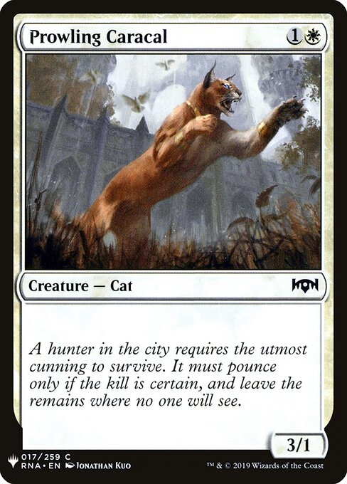 Prowling Caracal — art by Jonathan Kuo