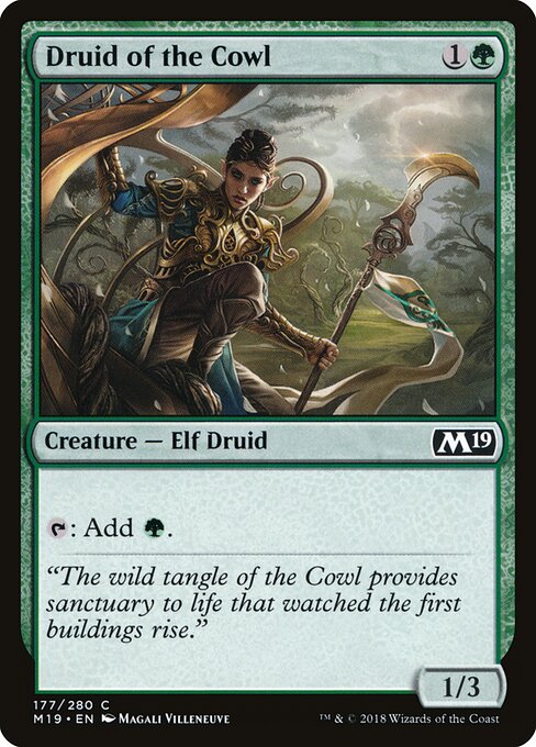Druid of the Cowl — art by Magali Villeneuve