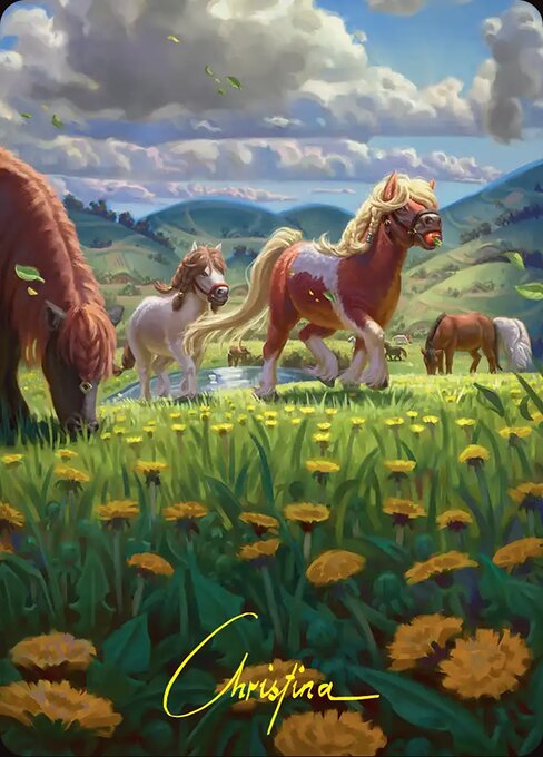 Troop of Ponies // Troop of Ponies — art by Christina Kraus