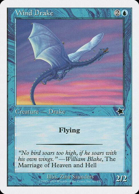 Wind Drake — art by Zina Saunders