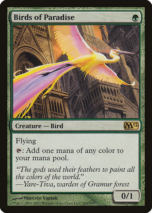 Birds of Paradise — art by Marcelo Vignali