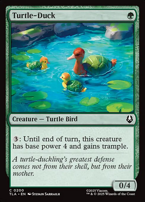 Turtle-Duck — art by Sylvain Sarrailh