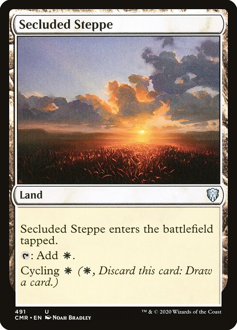 Secluded Steppe — art by Noah Bradley