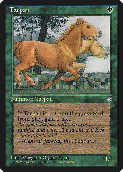Tarpan — art by Margaret Organ-Kean