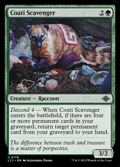 Coati Scavenger — art by Alessandra Pisano