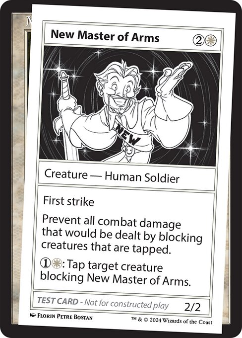 New Master of Arms — art by Florin Petre Bostan