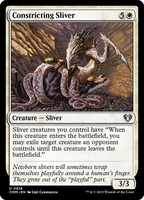 Constricting Sliver — art by Loïc Canavaggia