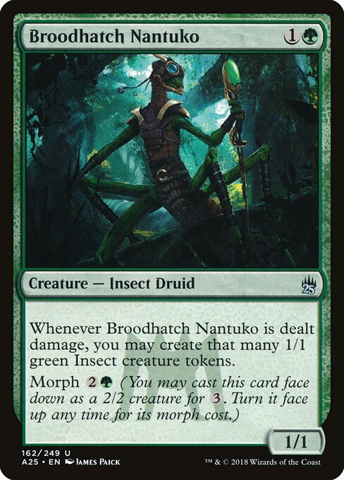 Broodhatch Nantuko — art by James Paick