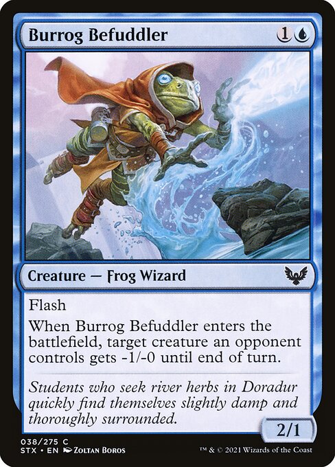 Burrog Befuddler — art by Zoltan Boros