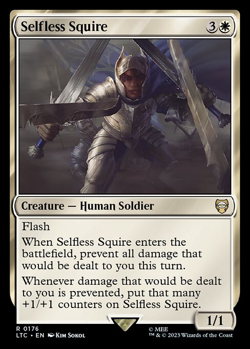 Selfless Squire — art by Kim Sokol