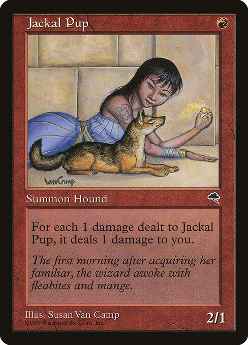 Jackal Pup — art by Susan Van Camp