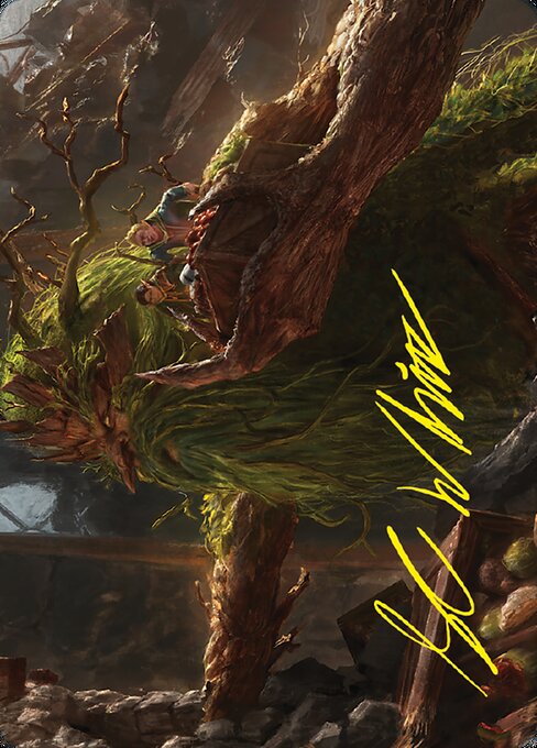 Treebeard, Gracious Host // Treebeard, Gracious Host — art by Campbell White