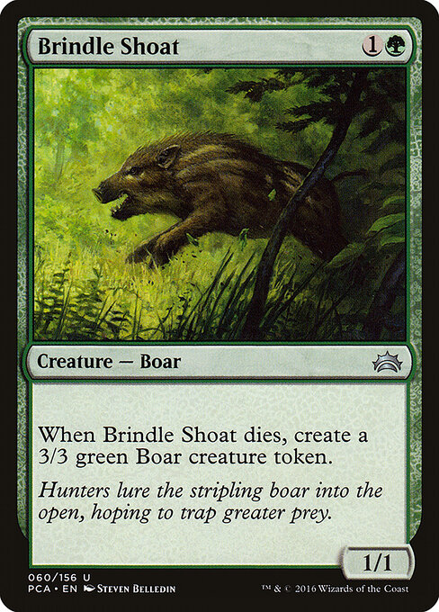 Brindle Shoat — art by Steven Belledin