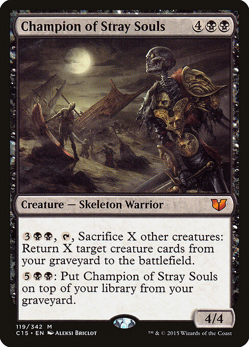Champion of Stray Souls — art by Aleksi Briclot
