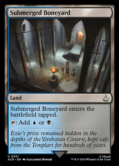 Submerged Boneyard — art by Alexandre Honoré
