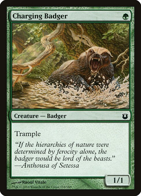 Charging Badger — art by Raoul Vitale