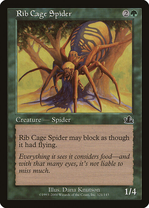 Rib Cage Spider — art by Dana Knutson