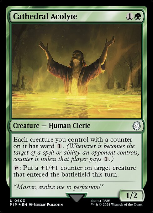 Cathedral Acolyte — art by Jeremy Paillotin