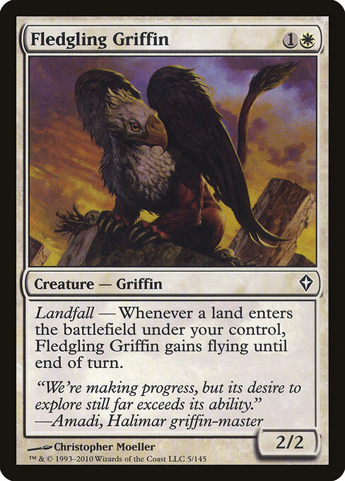 Fledgling Griffin — art by Christopher Moeller