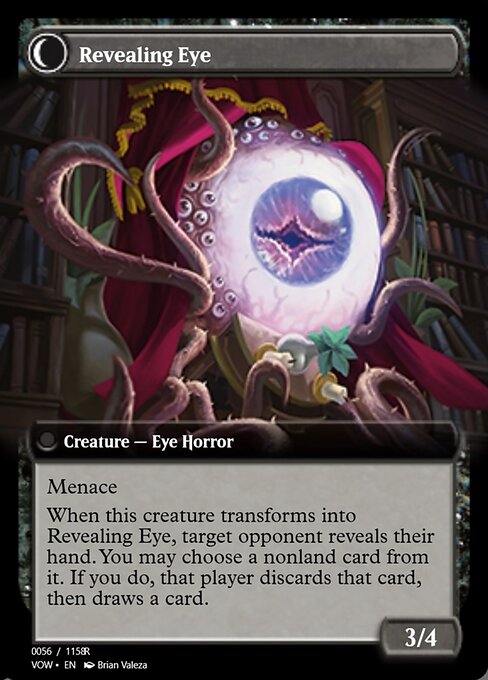 Concealing Curtains // Revealing Eye — art by Brian Valeza