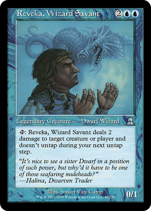 Reveka, Wizard Savant — art by Susan Van Camp