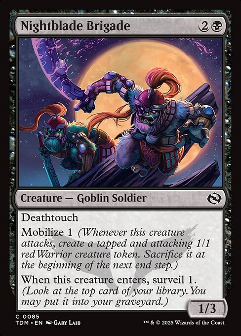 Nightblade Brigade — art by Gary Laib