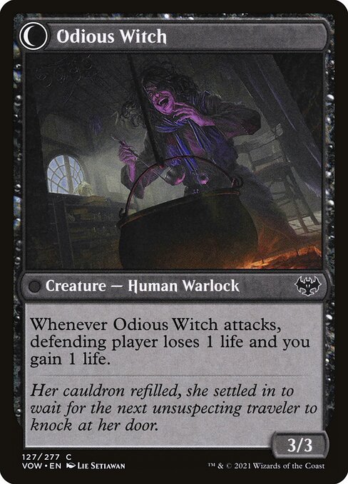 Ragged Recluse // Odious Witch — art by Lie Setiawan