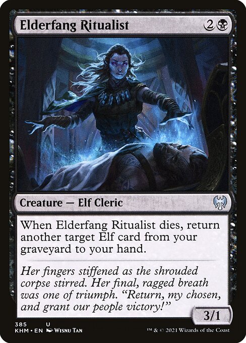 Elderfang Ritualist — art by Wisnu Tan
