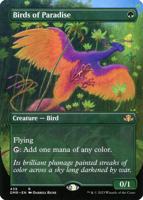 Birds of Paradise — art by Darrell Riche