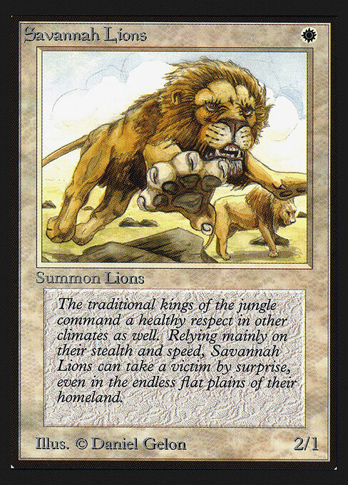 Savannah Lions — art by Daniel Gelon