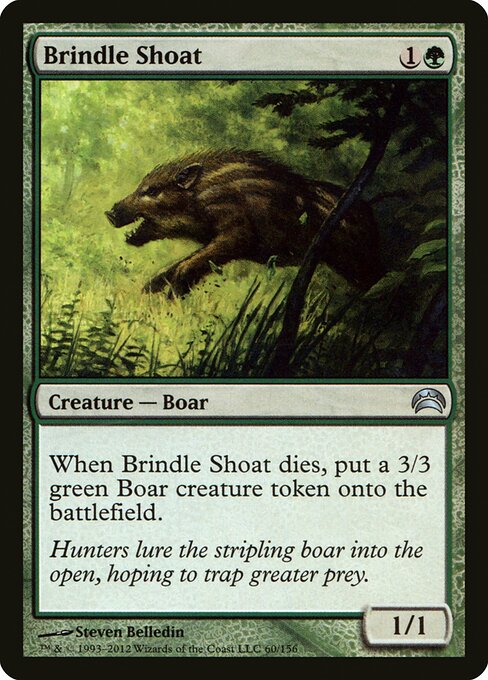 Brindle Shoat — art by Steven Belledin