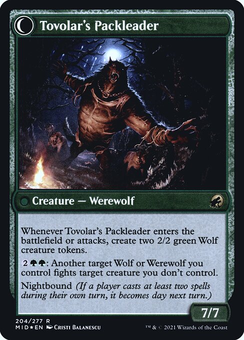 Tovolar's Huntmaster // Tovolar's Packleader — art by Cristi Balanescu