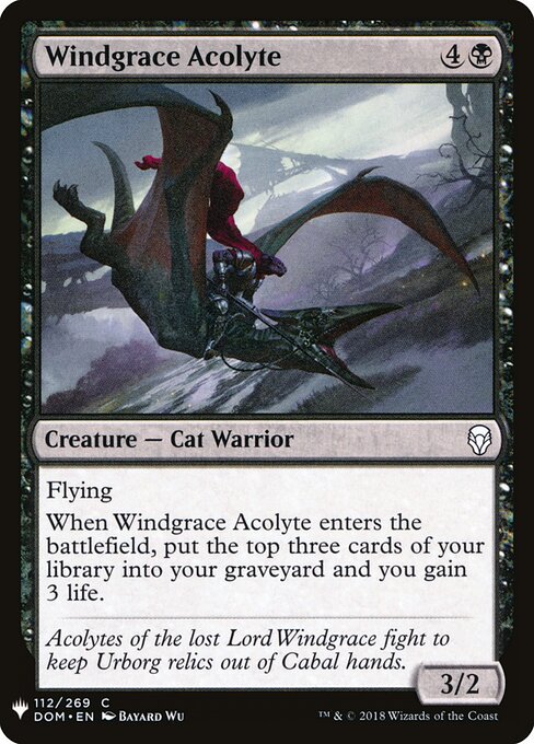 Windgrace Acolyte — art by Bayard Wu