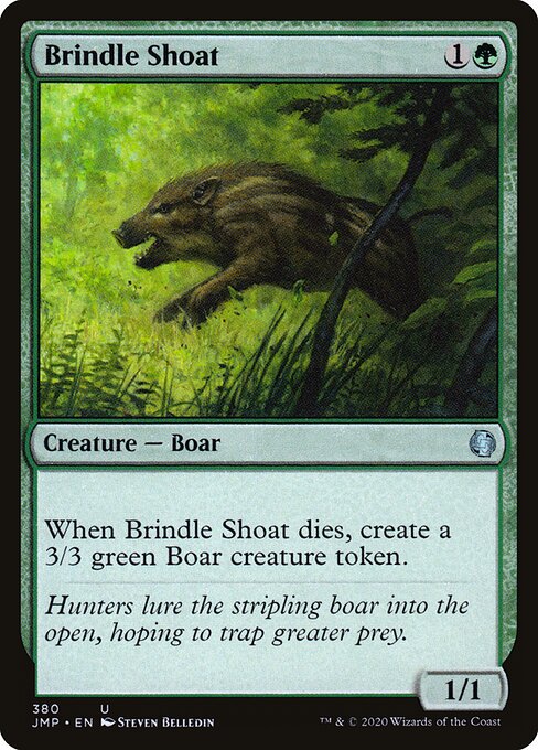 Brindle Shoat — art by Steven Belledin